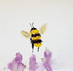 Bild 5. Bi. Illustration.