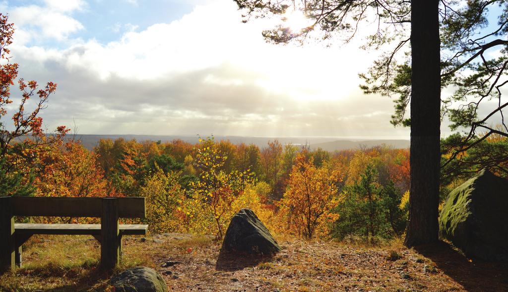 Räkenskaper Räkenskaperna visar det ekonomiska utfallet för såväl kommun som koncern (sammanställd redovisning).