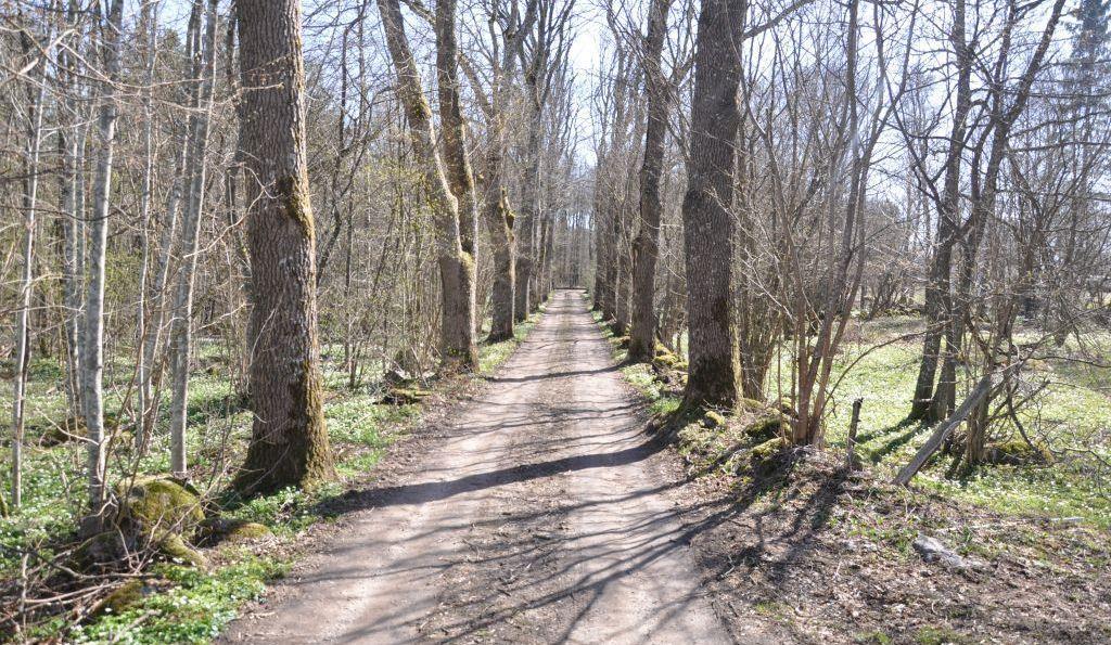 Höör Korsaröd 19:1 Rättsförhållanden Fastighet Fastighetsbeteckningen är Korsaröd 19:1 och fastigheten är belägen i Höörs kommun, Höörs församling.