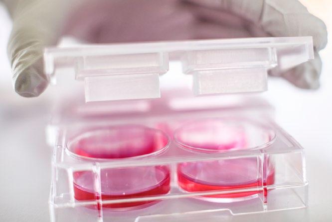 HoloMonitor är till skillnad från konventionella cell analys instru ment