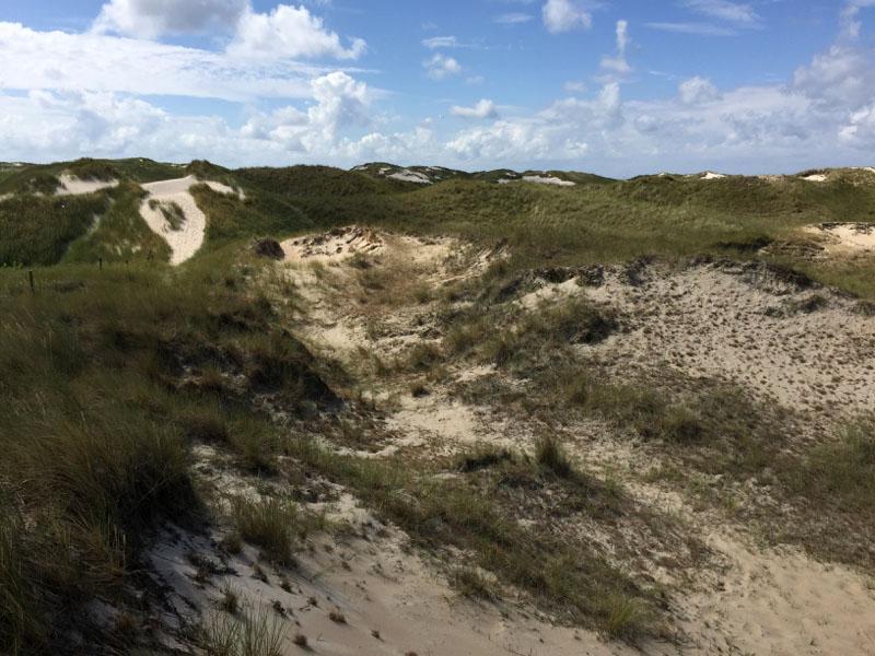 De första tre nätterna bodde vi ute på Langeness, en av 10 återstående hallig i Tyskland och även den största. En hallig är en mindre ö utan skyddsvallar som skapats från ett rev.
