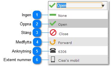 Hantera din anknytning En telefon kan hanteras på flera sätt när en hänvisning är aktiv. I listan bredvid datum och tid kan du välja hur telefonen ska styras under just din hänvisning.