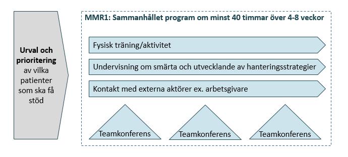 Figur 15. Illustration av de delar som bör ingå i ett MMR1-program enligt Region Uppsalas kriterier Källa: Region Uppsala.