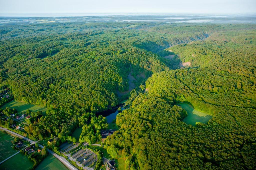 Söderåsens nationalpark i Skåne län är den största skogliga värdekärnan för