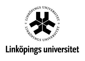 ISAK-Instutionen för studier av samhällsutveckling och kultur ISRN: LIU-ISAK/KSM-G 11/21 -- SE