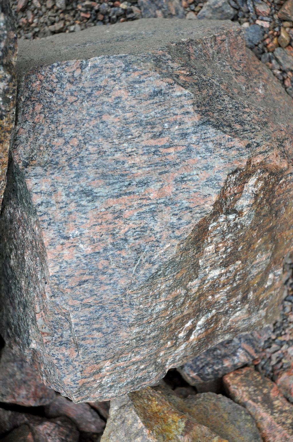 Ortognejs Gnejserna på Söderåsen är vanligen kraftigt deformerade och omvandlade, och deras ursprung är därför svårt att bestämma.