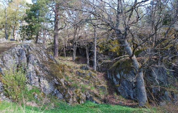 Tomterna till villorna ligger på nivåer som ansluter till naturens och innehåller sparad vegetation i form av enstaka träd eller hassel. Tomtgränsen markeras med låg häck eller trämur.