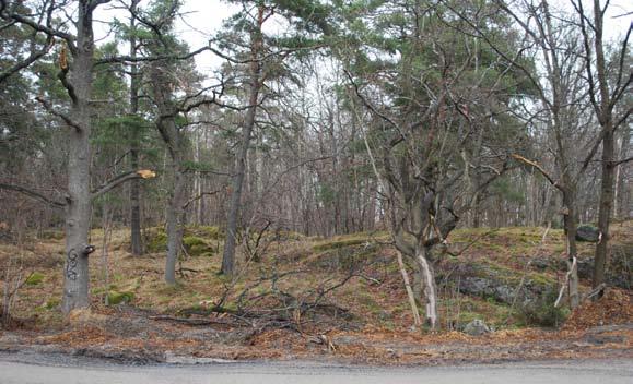 Beskrivning av delområden enl sidan 5 F G F2 Berg- och moränkulle med en hel del grova ekar i söder, norr där om finns flera grova tallar. I söder finns en markerad bergkant som går i dagen.