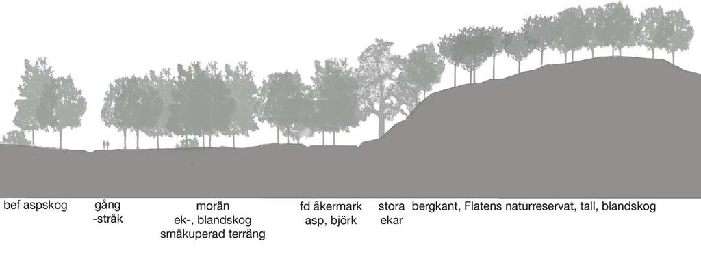 Beskrivning av delområden enl sidan 5 C Marken består huvudsakligen av hällar och morän med