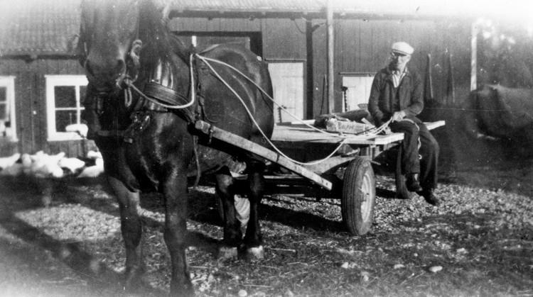 Albert Deréhn, Binäs nr