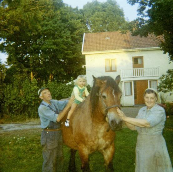 Albert och Ellen Deréhn, Binäs nr