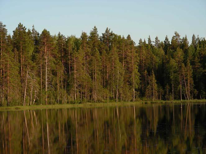 1 / 10 Beslut Datum 2014-12-08 511-7007-11 Dnr (anges vid skriftväxling) Enligt sändlista Beslut för bildande av naturreservatet Ygeltjärn Uppgifter om naturreservatet Naturreservatets namn: