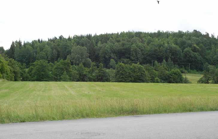Kinnahult Kinna 26:81 &