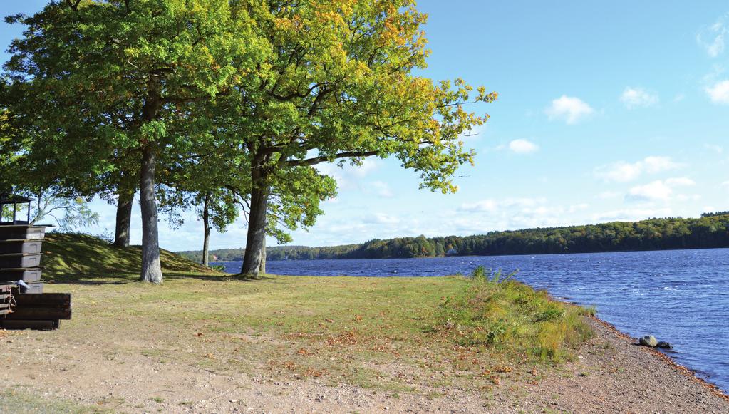 Kommunala bolag I detta avsnitt presenteras de bolag som helt eller delvis ägs av Örkelljunga kommun. Dessa är Örkelljungabostäder AB, Örkelljunga Fjärrvärmeverk AB och NÅRAB.