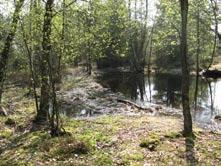 INLEDNING Götenehus AB planerar att uppföra åtta småhus samt en tillhörande lokalväg på fastigheten Kvisljungeby 2:188 på Hisingen i Göteborgs stad. Inga registrerade fornlämningar finns inom området.