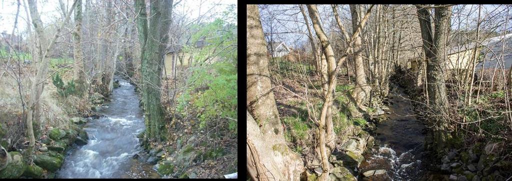 Erosion syns mest genom blottläggningen av rotsystem och fram