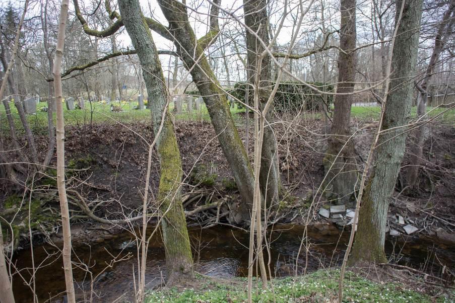 Här har bäcken påtaglig erosion och ovanför är en vertikalt sluttande slänt på ca 3-4m som slutar i fastigheters staket.