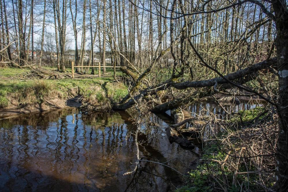 28 (30) Utlopp Göta älv Väster om riksväg 45 så går Lodingebäcken upp i Hålldamsbäcken. Även här pågår erosion men ingen bebyggelse är i riskzon.