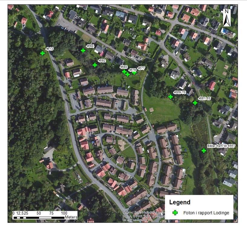 8 (30) Status Figur 4 Fotopunkter vid Lodingebäcken I östra delen av undersökningsområdet är bäcken omgiven av äng och alldeles intill växer större träd.