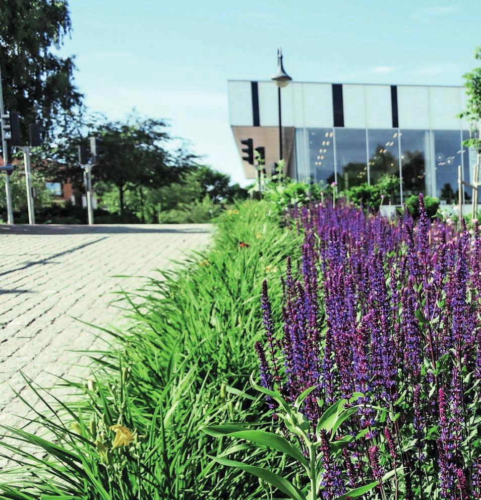 21 Kvalitetsmätningar Sunne kommuns kvalitet i korthet Undersökningen Kommunens kvalitet i korthet (KKiK) ger förtroendevalda god kunskap om kommunens kvalitet genom åren och i jämförelse med andra.