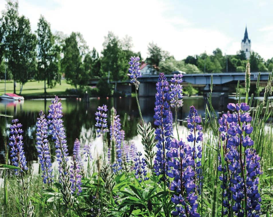 55 Särredovisning av vatten- och avloppsverksamheten Ansvarsområden Vattenförsörjning Avloppsverksamhet Anläggningsarbeten Ekonomiskt resultat Va-verksamhetens resultat i sammanfattning (mkr) 2015