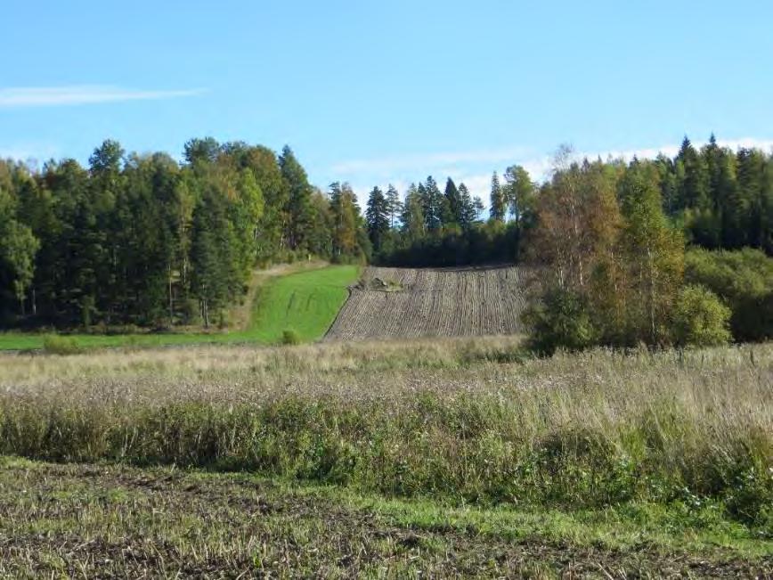Figur 2. Boplatsen Objekt 3 sedd från väster. Lokalen ligger på en platå strax ovanför en brant sluttning i åkermarken centralt i bilden. Foto: Henrik Runeson.