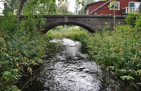 AB5. Gråskaån, Ronöholm SE666509-165038 Län: 1 Stockholm Beskuggning: 5-50 % Kommun: Norrtälje Koord.