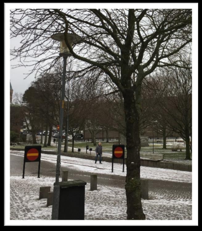 Sid 18/18 Nummer 16 - Kungstorget, i höjd med Old House Inn Lyktstolpen har blivit omgärdad av trädkronan.