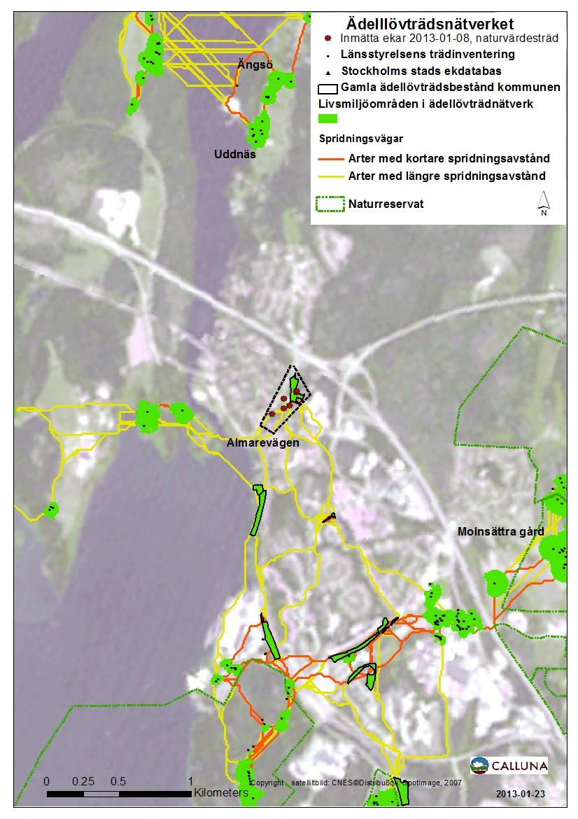 spridningssamband åt sydöst med det stora ek-området Molnsättra gård, söderut mot Görvälns naturreservat och Lädersättra samt västerut mot ädellövträdsområden i Ekerö.