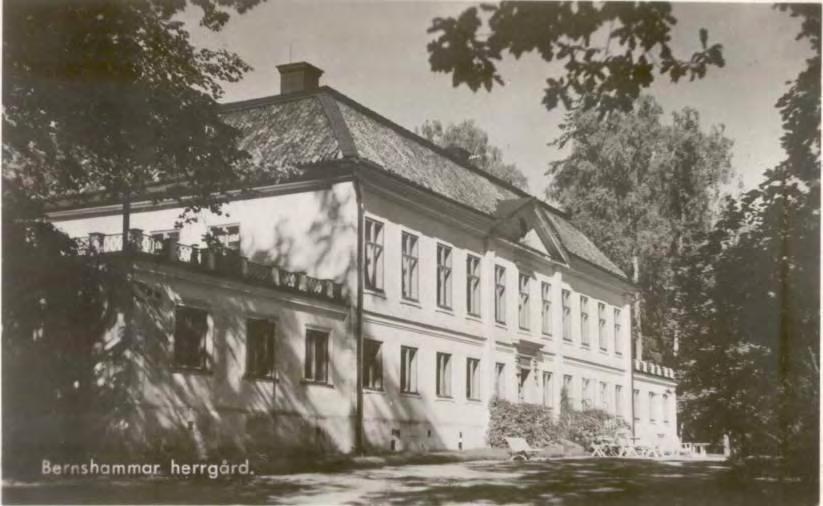Södra pochens tak Den södra pochen innesluter ett atrium som leder fram till köksingången. Taket till pochen är täckt med plåt och omgärdat av ett lågt smidesräcke mellan kvadratiska balustrar.