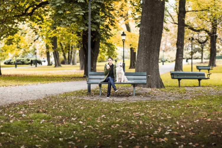Månadsöversikt September 2017 Bra ekonomisk statistik i augusti Tillväxten på tillväxtmarknaderna trappas upp Centralbanksstödet fortgår, stödet minskas gradvis Anspråkslösa avkastningar på