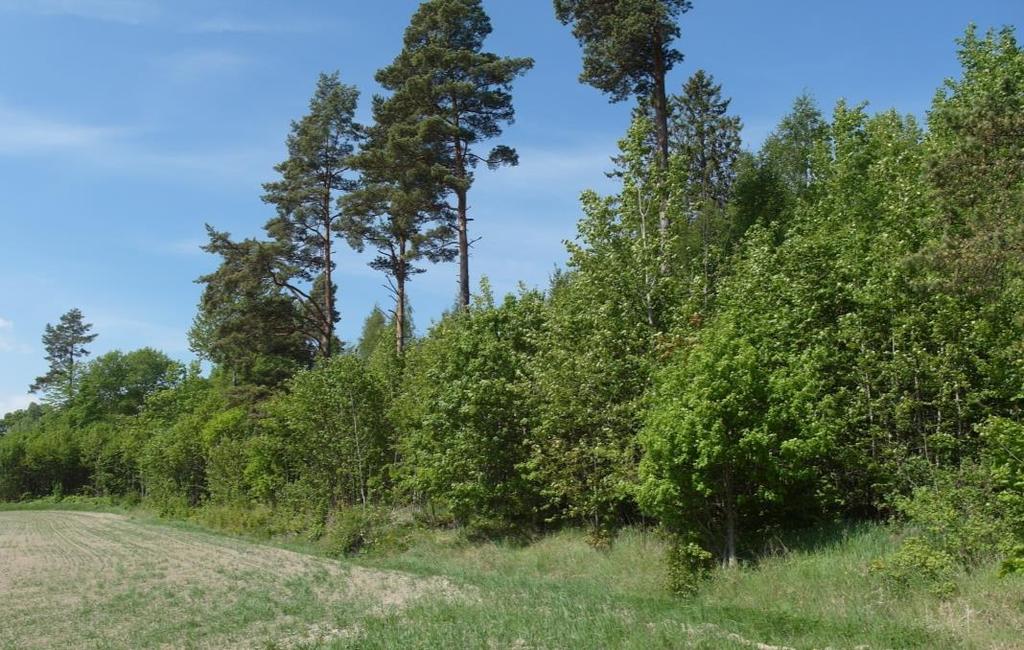 ADOXA Naturvård org.nr.