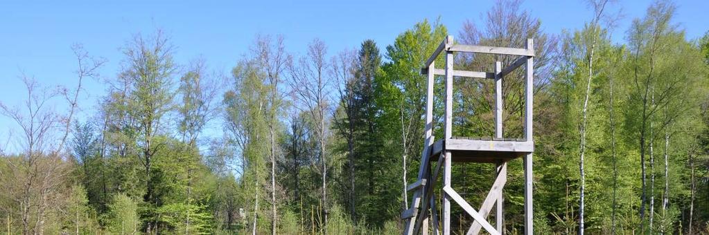 Hög andel granplanteringar och planterad f d åkermark ger god framtida tillväxt.