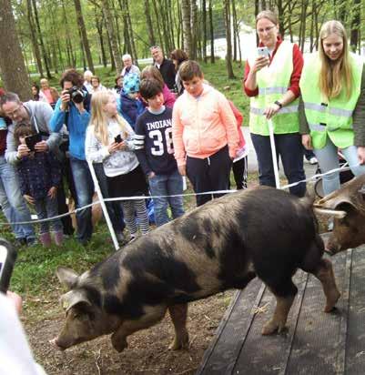Övrigt MILJÖ Fortsatt arbete för att nå miljömålen Kommunen har en viktig roll i arbetet att nå ett hållbart samhälle.