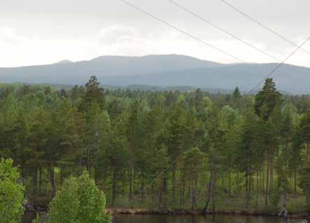 RIKTLINJER Öster väg 45- verksamheter Värna Vasslarängsbäcken och håll en rejäl buffert. Värna nyckelbiotopen för aspskog. Kraftledningen ska jordförläggas.