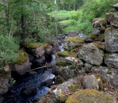 Här finns en mycket intressant sträcka av Bräkneån med blocksamlingar och forssträckor omväxlande med lugnvatten i den djupt nedskurna dalgången.