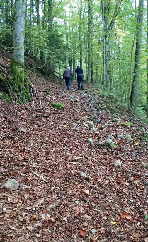 DEL 3: Ronneby kommuns grönstruktur ÖLJEHULT Öljehult har en pittoresk kyrkomiljö och ett spännande läge alldeles söder om länsgränsen med byarna Ebbamåla, Dockemåla och Grårör intill.