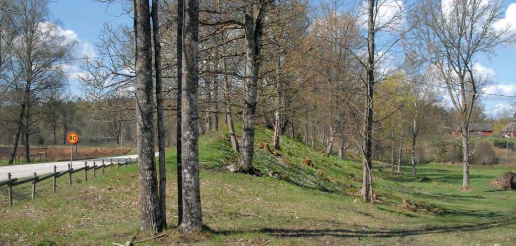 Här fi nns fl era gångstråk, som medverkar till att göra området tillgängligt.