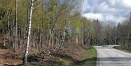 Den relativt hårt trafikerade vägen mellan Backaryd och Bräkne-Hoby som samtidigt är