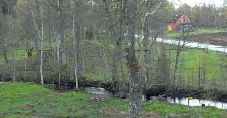 Möjligheter till ett gång- och cykelstråk inne i bokskogen nedanför branten skulle göra