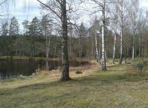 Idag har friluftscentret Karlsnäsgården med elljusspår, ledsystem, skidspår och en aktiv orienteringsklubb vuxit fram i anslutning till Ronnebyån.
