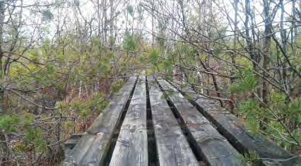 Öster om Möljeryd i Gammalstorp ligger ytterligare ett friluftscentrum med Skogsstyrelsens friluftsgård Skogsgården med dess ledsystem.