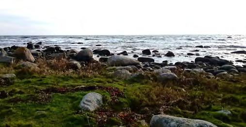 Samhällenas grönstruktur: Kustbygd tvingades släppa till mark och en torpbebyggelse uppkom, främst i de havsnära lägena.