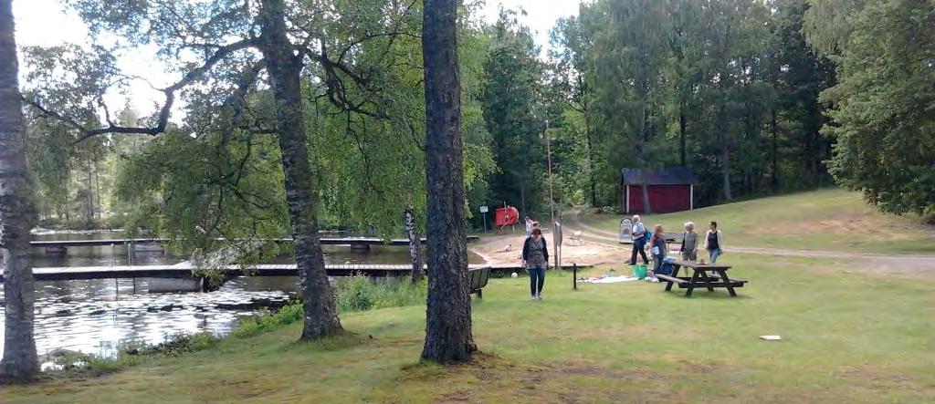 Bild från skogsbygden nordost om Eringsboda.
