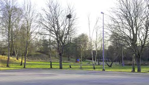 Till det nätverk av skolor som finns i Bräkne-Hoby hör Sjöarpsskolan som dels är Ronneby kommuns gymnasiala särskola, dels är kopplad till naturbruksgymnasiets