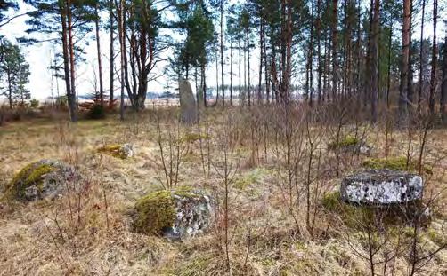 DEL 3: Ronneby kommuns grönstruktur KALLINGE Från Sänksjöområdet till Lönnamohagen, Flisan och Moabacken.