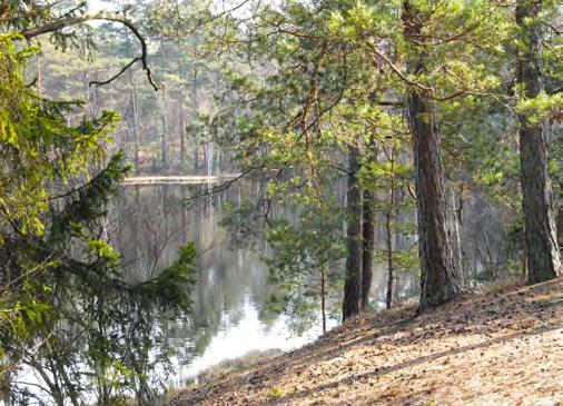 Sannolikt användes stora delar av de höglänta platåerna som vedskog medan högskogsbruk för grövre virkesuttag tillämpades i svackor och sänkor där markbördigheten var större.