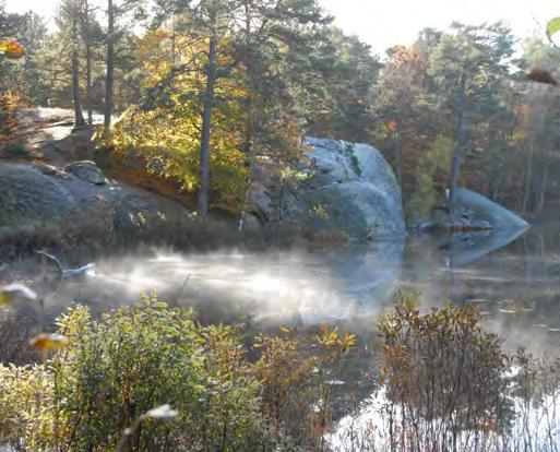 DEL 3: Ronneby kommuns grönstruktur Rydéns park Rydéns park är ett innehållsrikt område intill Rydéns bostadsområde. Även Rydéns park har en bergsformation som kärna.