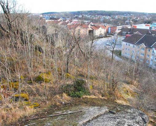 Samhällenas grönstruktur: Kustbygd Kallaberget Kallaberget kan ses som en fortsättningen på Hultaområdet upp mot E22:an.