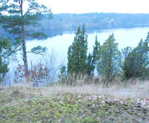 DEL 3: Ronneby kommuns grönstruktur Härstorpssjön Härstorpsområdet är ett stort sammanhängande område med ett flertal insjöar i.